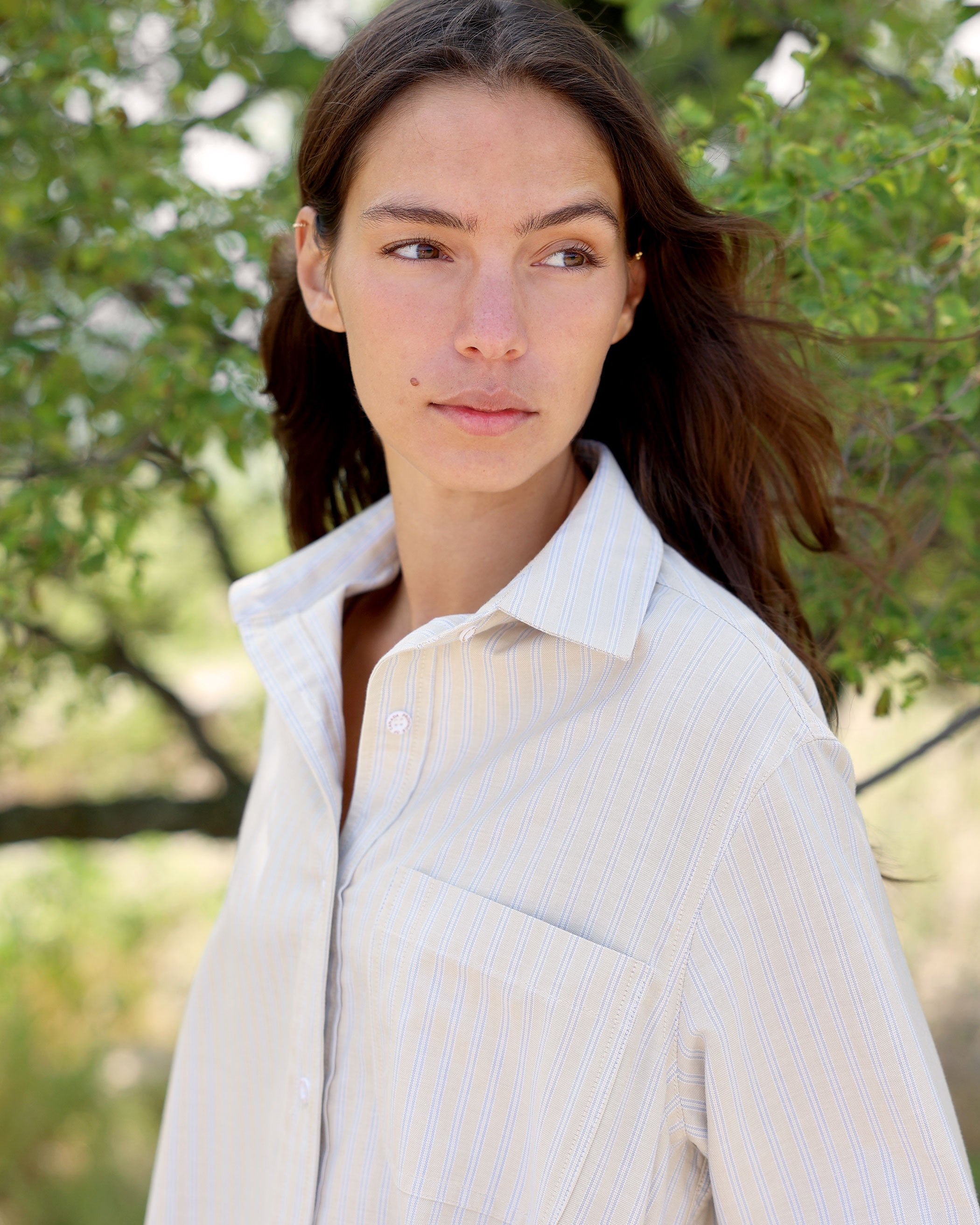 Made in Canada 100% Cotton Remy Oxford Stripe Dress - Unisex - Province of Canada