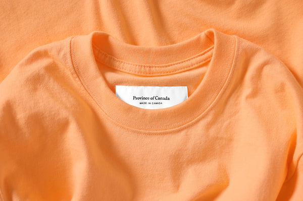 The Orange Shirt