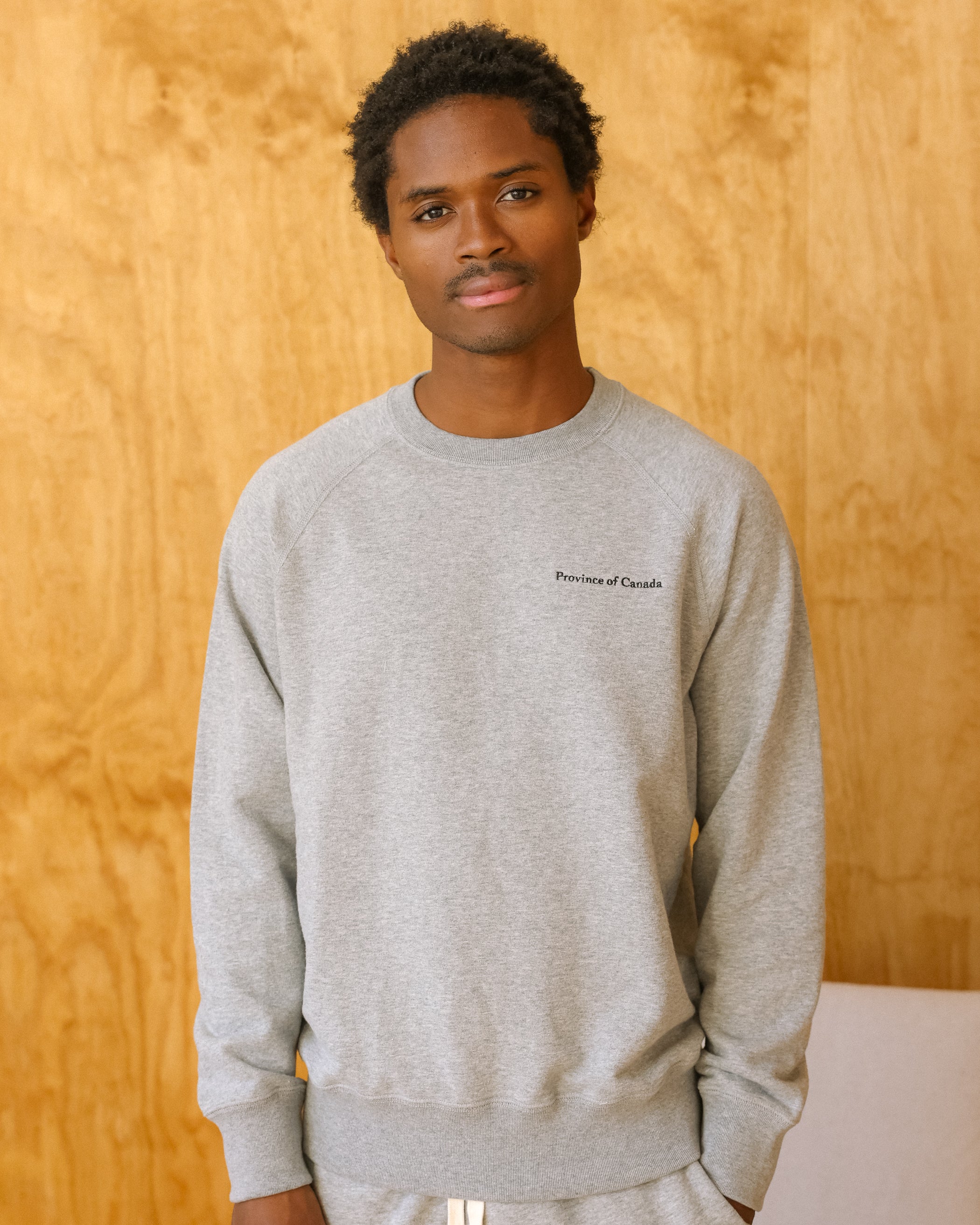 トップス OVY French Terry P/O Sweat (top gray) OVY French Terry P/O Sweat (top gray) Hoodies and